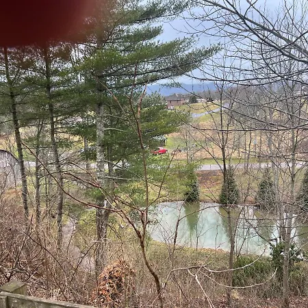 Swift Hollow Memories